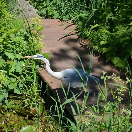 Апартаменты Anderewelt-bochum *