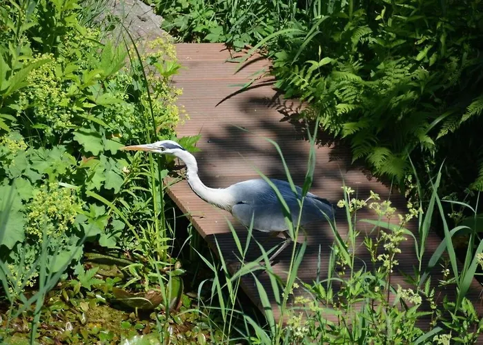 Apartamento Anderewelt-bochum *